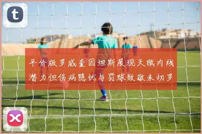 平价版罗威奎因坦斯展现天赋内线潜力但伤病隐忧与罚球致敬米切罗