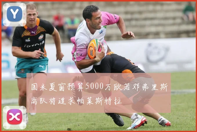 国米夏窗预算5000万欧若邓弗里斯离队将追求帕莱斯特拉