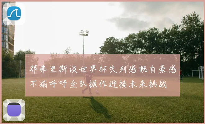 邓弗里斯谈世界杯失利感慨自豪感不减呼吁全队振作迎接未来挑战