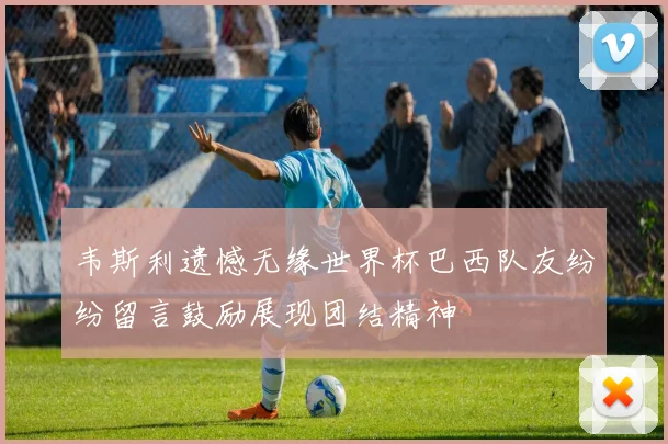 韦斯利遗憾无缘世界杯巴西队友纷纷留言鼓励展现团结精神